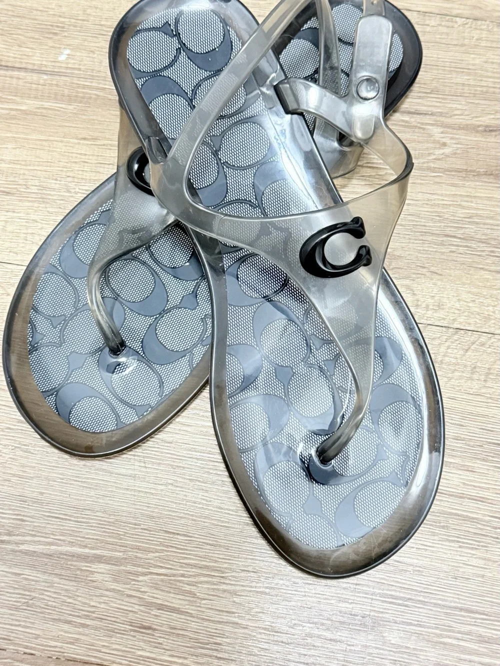 Coach stylish clear
